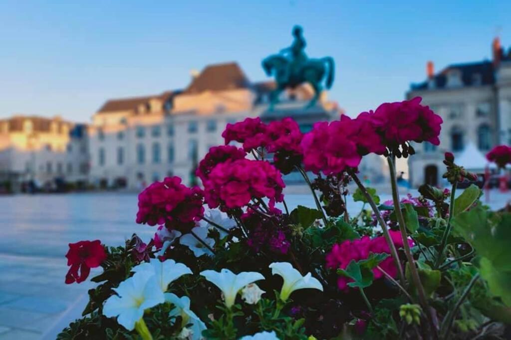 Bnb Le Cocon, Coeur Historique D'Orleans, 5' Train Station Ngoại thất bức ảnh