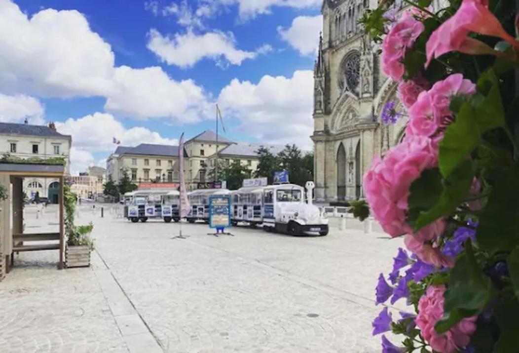 Bnb Le Cocon, Coeur Historique D'Orleans, 5' Train Station Ngoại thất bức ảnh